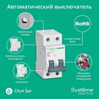Выключатель автоматический модульный 2п C 25А 4.5кА City9 Set 230В SE C9F34225 ТехноИмпульс