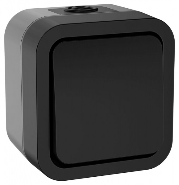 Выключатель 1-кл. 2п ОП TORS TS111 10А IP55 графит IEK TS-V16-0-10-55-K53 ТехноИмпульс