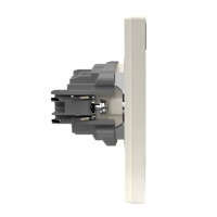 Розетка 1-м СП Pixel 16А IP20 с заземл. защ. шторки в сборе беж. TOKOV ELECTRIC TKE-PX-R1FZSF-C02 ТехноИмпульс
