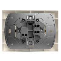 Розетка 2-м СП Pixel 16А IP20 с заземл. защ. шторки в сборе беж. TOKOV ELECTRIC TKE-PX-R2FZSF-C02 ТехноИмпульс