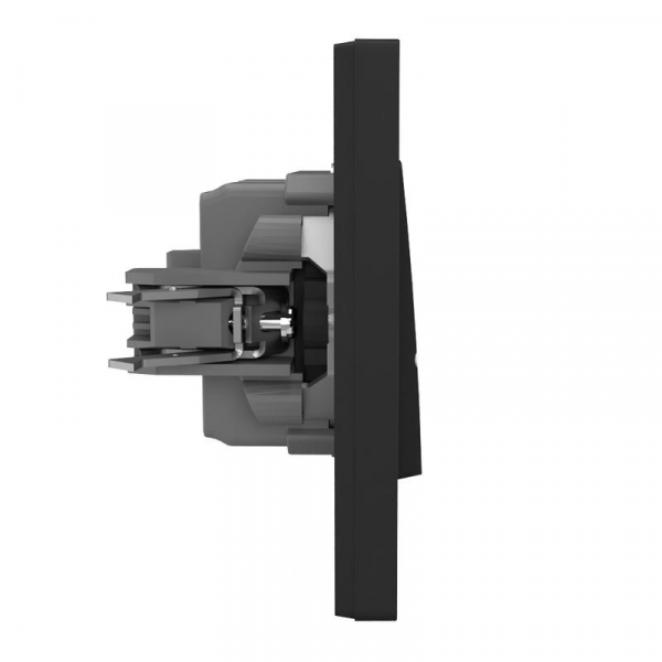 Выключатель 1-кл. СП Pixel 10А IP20 в сборе карбон TOKOV ELECTRIC TKE-PX-V1F-C14 ТехноИмпульс