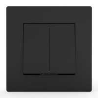 Выключатель 2-кл. СП Pixel 10А IP20 в сборе карбон TOKOV ELECTRIC TKE-PX-V2F-C14 ТехноИмпульс