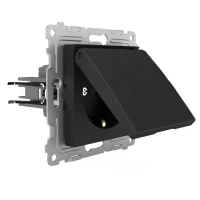 Розетка 1-м СП Pixel 16А IP20 с заземл. защ. шторки с крышкой механизм карбон TOKOV ELECTRIC TKE-PX-R1ZSW1-C14 ТехноИмпульс