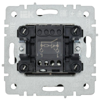 Выключатель 1-кл. СП BRITE ВС10-1-1-БрГ 10А с индик. механизм графит IEK BR-V10-1-10-K53 ТехноИмпульс