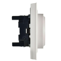 Розетка 2-м СП BRITE РС12-3-БрЖ 16А в сборе с заземл. без защ. шторок жемчуж. IEK BR-R21-16-K36-F ТехноИмпульс