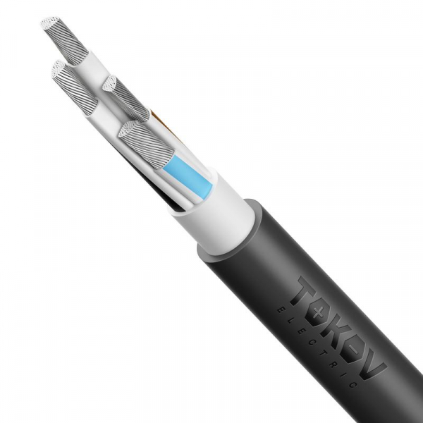 Кабель TOKOV ELECTRIC АВВГнг(А)-LS 4х185 МС (N) 1кВ (м) УТ000030796 ТехноИмпульс