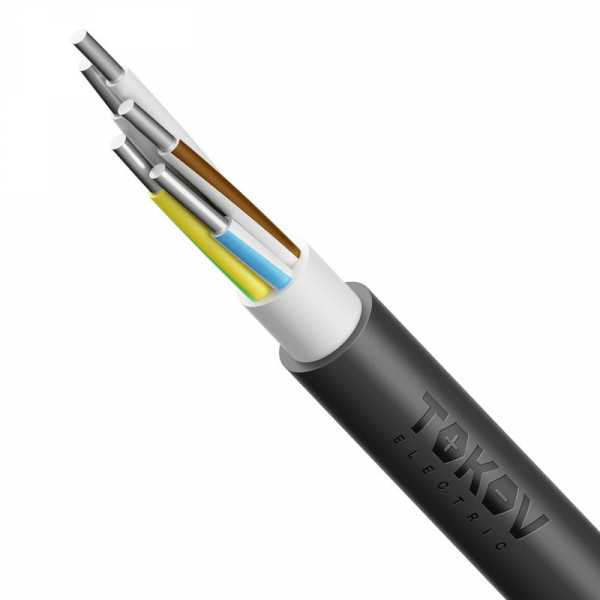 Кабель TOKOV ELECTRIC АВВГнг(А)-LS 5х50 ОК (N PE) 0.66кВ (м) УТ000030802 ТехноИмпульс