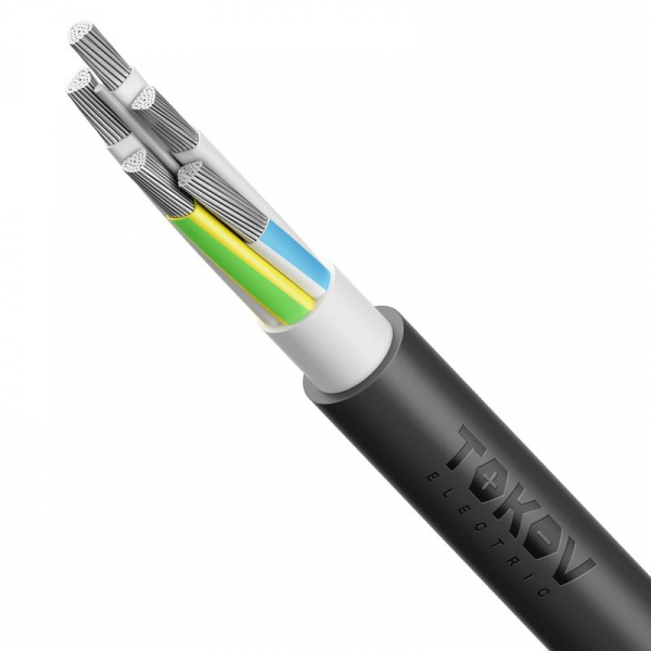 Кабель TOKOV ELECTRIC АВВГнг(А)-LS 5х70 МС (N PE) 1кВ (м) УТ000030803 ТехноИмпульс