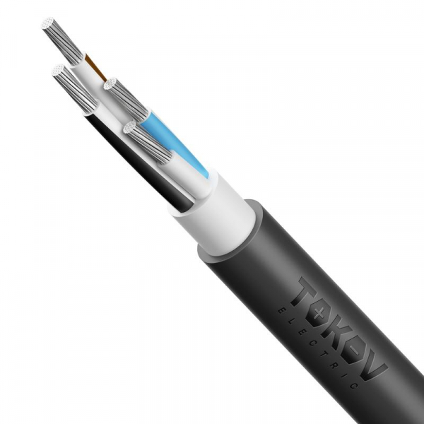 Кабель TOKOV ELECTRIC АВВГнг(А)-LS 4х25 МК (N) 0.66кВ (м) 00-00072437 ТехноИмпульс