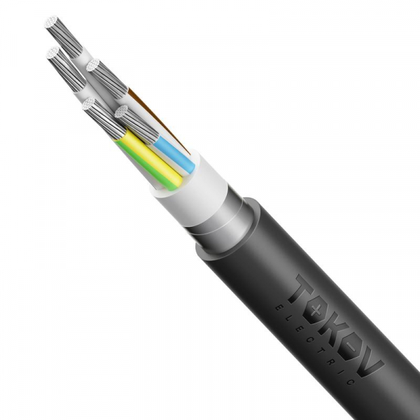 Кабель TOKOV ELECTRIC АВБШв 5х25 МК (N PE) 0.66кВ (м) 00-00072440 ТехноИмпульс