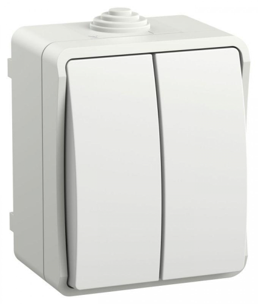 Выключатель 2-кл. ОП Форс IP54 ВС20-2-0-ФБ бел. IEK EVS20-K01-10-54-DC ТехноИмпульс