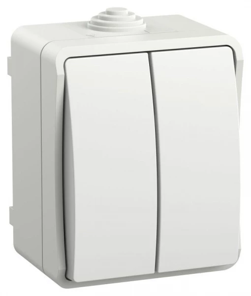 Выключатель 2-кл. ОП Форс IP54 ВС20-2-0-ФБ бел. IEK EVS20-K01-10-54-DC ТехноИмпульс