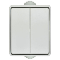 Выключатель 2-кл. ОП Форс IP54 ВС20-2-0-ФБ бел. IEK EVS20-K01-10-54-DC ТехноИмпульс