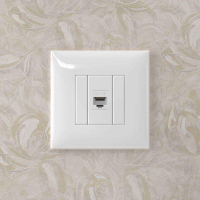 Розетка компьютерная 1-м СП Avanti "Белое облако" RJ45 кат.5E без шторок механизм DKC 4400663 ТехноИмпульс