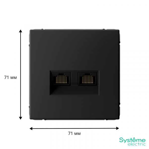 Розетка компьютерная 2-м ArtGallery RJ45 + RJ45 кат.5E механизм карбон SE GAL001085 ТехноИмпульс