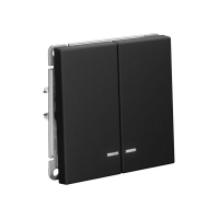 Выключатель 2-кл. ArtGallery (сх. 5а) 10AX с подсветкой быстрозажим. клем. механизм карбон SE GAL001053S ТехноИмпульс