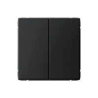 Выключатель 2-кл. ArtGallery 10AX быстрозажим. клем. механизм карбон SE GAL001051S ТехноИмпульс