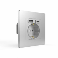 Розетка 1-м СП Pixel IP20 с заземл. с 2-мя заряд. устр. USB тип A+C механизм алюм. TOKOV ELECTRIC TKE-PX-R1U2AC-C03 ТехноИмпульс