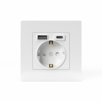 Розетка 1-м СП Pixel IP20 с заземл. с 2-мя заряд. устр. USB тип A+C механизм бел. TOKOV ELECTRIC TKE-PX-R1U2AC-C01 ТехноИмпульс