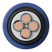 Кабель Русский Свет ВБШвнг(А)-LS 4х6 ОК (N) 0.66кВ (м) 10135 ТехноИмпульс