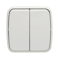 Выключатель 2-кл. ОП Минск 10А IP20 бел. Basic EKF EGV10-023-10 ТехноИмпульс