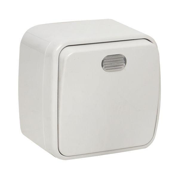 Выключатель 1-кл. ОП Минск 10А IP20 с индикатором бел. Basic EKF EGV10-121-10 ТехноИмпульс