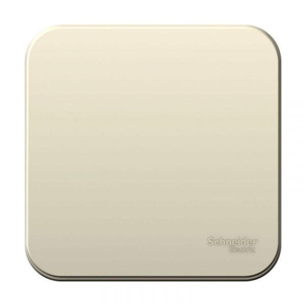 Выключатель 1-кл. ОП Blanca 10А IP20 (сх. 1) 250В с изолир. пластиной молочн. SE BLNVA101012 ТехноИмпульс