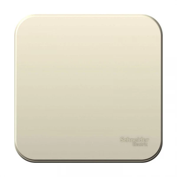 Выключатель 1-кл. ОП Blanca 10А IP20 (сх. 1) 250В с изолир. пластиной молочн. SE BLNVA101012 ТехноИмпульс