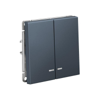 Выключатель 2-кл. ArtGallery (сх. 5а) 10AX с подсветкой механизм грифель SE GAL000753 ТехноИмпульс