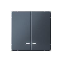 Выключатель 2-кл. ArtGallery (сх. 5а) 10AX с подсветкой механизм грифель SE GAL000753 ТехноИмпульс