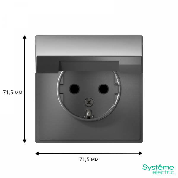 Розетка ArtGallery 16А IP20 с заземл. защ. шторки с крышкой механизм сталь SE GAL000946 ТехноИмпульс
