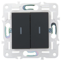 Выключатель проходной 2-кл. SKANDY 10А SK-V10G с индикацией графит IEK SK-V22-1-10-K53 ТехноИмпульс