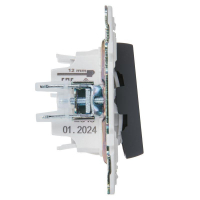 Выключатель проходной 2-кл. SKANDY 10А SK-V10G с индикацией графит IEK SK-V22-1-10-K53 ТехноИмпульс