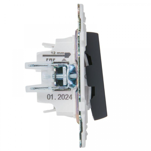 Выключатель 2-кл. SKANDY 10А SK-V09G с индикацией графит IEK SK-V20-1-10-K53 ТехноИмпульс