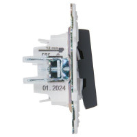 Выключатель 2-кл. SKANDY 10А SK-V09G с индикацией графит IEK SK-V20-1-10-K53 ТехноИмпульс