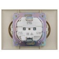 Розетка 2-м SKANDY 16А с заземл. без защ. шторок в сборе SK-R08B беж. IEK SK-R21-16-K10-F ТехноИмпульс