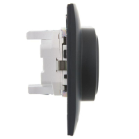 Розетка 2-м SKANDY 16А с заземл. защ. шторки в сборе SK-R07G графит IEK SK-R24-16-K53-F ТехноИмпульс