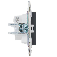 Розетка SKANDY 10А без заземл. без защ. шторок SK-R02G графит IEK SK-R10-10-K53 ТехноИмпульс