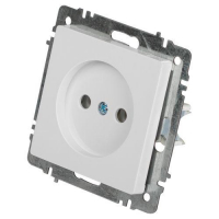 Розетка 1-м СП Accent 6-201-01 16А IP20 250В 2Р AL/CU бел. Intro Б0063653 ТехноИмпульс