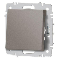 Выключатель 1-кл. СП Accent 6-101-09 10А IP20 250В AL/CU титан Intro Б0063440 ТехноИмпульс