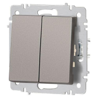 Выключатель 2-кл. СП Accent 6-104-09 10А IP20 250В AL/CU титан Intro Б0063499 ТехноИмпульс