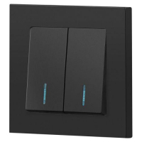 Выключатель 2-кл. СП Accent 6-105-05 10А IP20 250В с подсветкой AL/CU антрацит Intro Б0063516 ТехноИмпульс