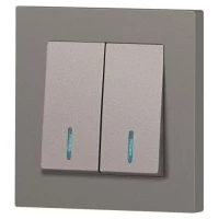 Выключатель 2-кл. СП Accent 6-105-09 10А IP20 250В с подсветкой AL/CU титан Intro Б0063525 ТехноИмпульс