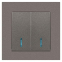 Выключатель 2-кл. СП Accent 6-105-09 10А IP20 250В с подсветкой AL/CU титан Intro Б0063525 ТехноИмпульс