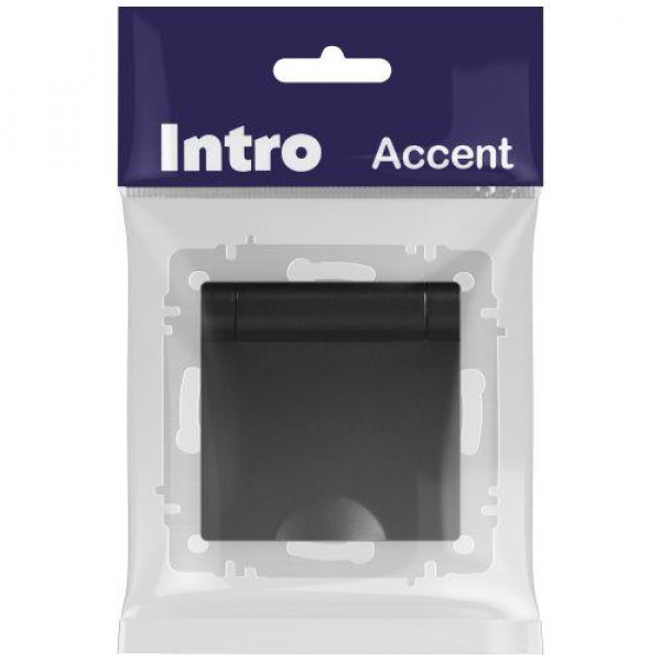 Розетка 1-м СП Accent 6-203-05 16А IP20 250В 2P+E Schuko с крышкой антрацит Intro Б0063747 ТехноИмпульс