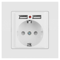 Розетка 1-м СП Accent 6-410-01М 16А IP20 250В P+E Schuko защ. шторки + 2хUSB бел. матов. Intro Б0063691 ТехноИмпульс