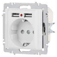 Розетка 1-м СП Accent 6-410-01М 16А IP20 250В P+E Schuko защ. шторки + 2хUSB бел. матов. Intro Б0063691 ТехноИмпульс