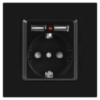 Розетка 1-м СП Accent 6-410-05 16А IP20 250В P+E Schuko + 2хUSB защ. шторки антрацит Intro Б0063698 ТехноИмпульс