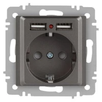 Розетка 1-м СП Accent 6-410-09 16А IP20 250В P+E Schuko + 2хUSB защ. шторки титан Intro Б0063711 ТехноИмпульс
