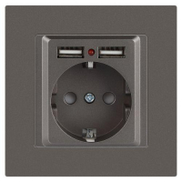Розетка 1-м СП Accent 6-410-09 16А IP20 250В P+E Schuko + 2хUSB защ. шторки титан Intro Б0063711 ТехноИмпульс